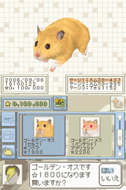 ハムスターと暮らそう