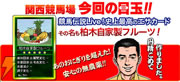 柏木自家製フルーツ