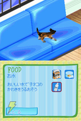 キャッツ