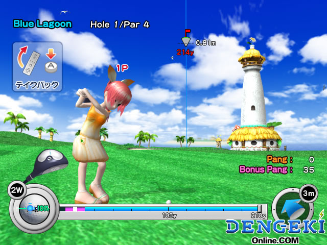 Wii software13