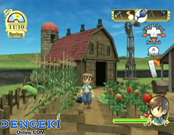 Wii software22