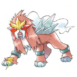 歴代映画主役ポケモン 人気NO.1を決めろ!