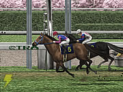 Gallop Racer ONLINE